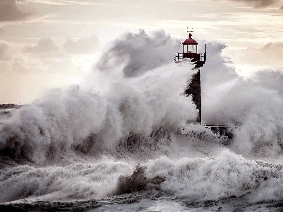 Calm in the Teenage Storm